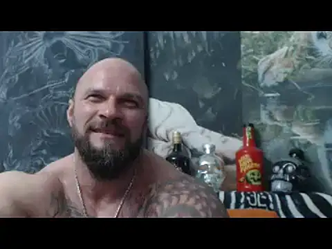 Preview of viking_30