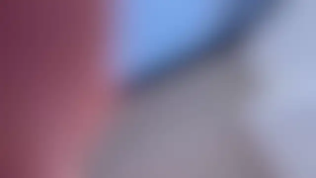 _vixenp