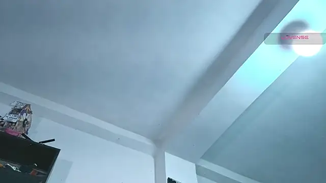 SilvaBranko webcam