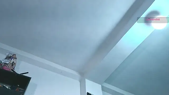 SilvaBranko webcam