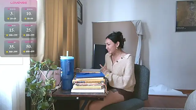 yuzhara webcam