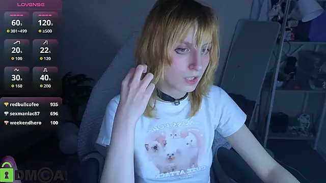 Little_Chips webcam