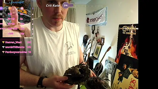 9VOLTT webcam
