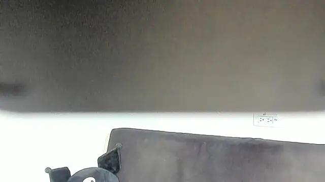 Eirlysx webcam