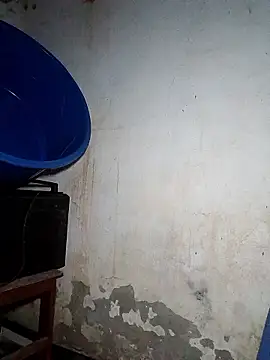 bela14 webcam