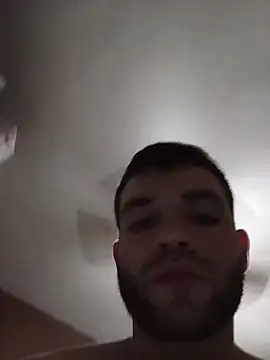 bolu86