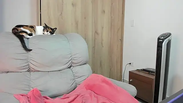 xspecialoomx live sex cam