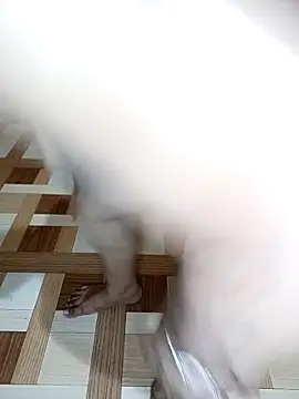 Crushme_cpl webcam