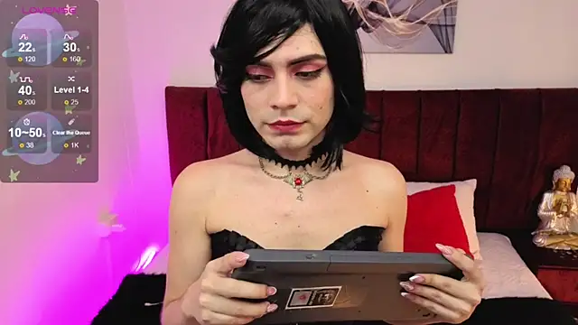 SALOME_F0X_ webcam