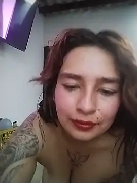 Marcelincam webcam