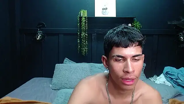 Jesve webcam
