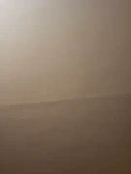 dufatcock webcam