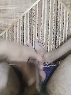 EgyptianHorse webcam