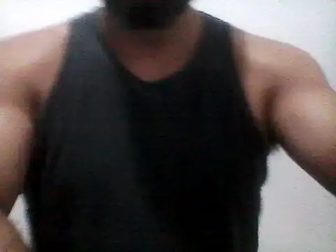 stallony webcam