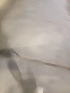vea_m (Ask my age) - #anal #blowjob #cam2cam #deepthroat #doggy-style #facial #fingering #footjob #handjob #hardcore #hd #massage #masturbation #middle-priced-privates #mobile #oil-show #orgasm #outdoor #peruvian #recordable-publics #shower #smoking #spanish-speaking #squirt #swingers #titty-fuck #upskirt #anal #anal-doggy-style #anal-fingering #anal-latin #anal-masturbation #blowjob #brunettes #brunettes-blowjob #cam2cam #deepthroat #deepthroat-blowjob #doggy-style #facial #fingering #fingering-latin #footjob #handjob #hardcore #hd #latin #latin-blowjob #latin-deepthroat #latin-doggy-style #latin-masturbation #massage #masturbation #medium #medium-hair #middle-priced-privates #middle-priced-privates-latin #mobile #moderately-priced-cam2cam #oil-show #orgasm #outdoor #peruvian #recordable-publics #shower #smoking #spanish-speaking #squirt #squirt-latin #swingers #titty-fuck #upskirt