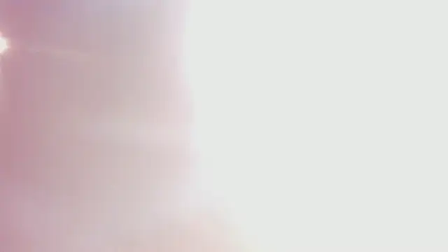 Kaidapunk webcam