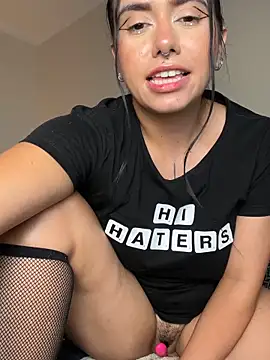 Samispank webcam