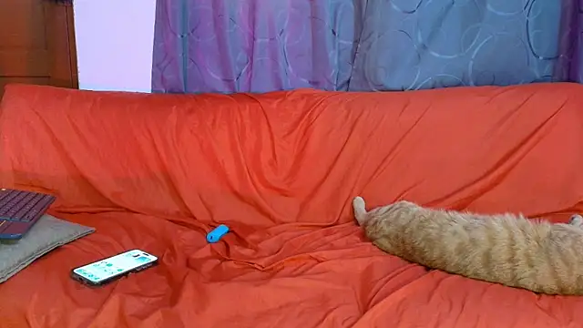 Nikki__uwu