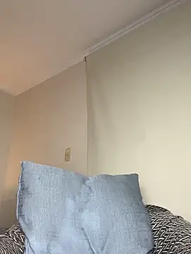 Samispank webcam