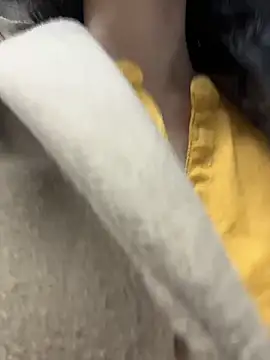 dani_bela (F young) - #anal #anal-toys #blowjob #cam2cam #deepthroat #dildo-or-vibrator #doggy-style #double-penetration #ecuadorian #fingering #foot-fetish #footjob #hairy #handjob #hd #heels #interactive-toys #masturbation #middle-priced-privates #mobile #recordable-privates #recordable-publics #rimming #sex-toys #shower #small-tits #spanish-speaking #strapon #striptease #twerk #anal #anal-doggy-style #anal-fingering #anal-latin #anal-masturbation #anal-petite #anal-toys #anal-young #black-hair #black-hair-young #blowjob #cam2cam #deepthroat #deepthroat-blowjob #dildo-or-vibrator #dildo-or-vibrator-anal #dildo-or-vibrator-deepthroat #dildo-or-vibrator-double-penetration #dildo-or-vibrator-young #doggy-style #double-penetration #ecuadorian #fingering #fingering-latin #fingering-young #foot-fetish #footjob #hairy #hairy-young #handjob #hd #heels #interactive-toys #interactive-toys-young #latin #latin-blowjob #latin-deepthroat #latin-doggy-style #latin-foot-fetish #latin-hairy #latin-masturbation #latin-young #long-hair #lovense #masturbation #middle-priced-privates #middle-priced-privates-latin #middle-priced-privates-young #mobile #mobile-young #moderately-priced-cam2cam #petite #petite-latin #petite-young #recordable-privates #recordable-privates-young #recordable-publics #sex-toys #shower #small-tits #small-tits-latin #small-tits-young #spanish-speaking #strapon #striptease #striptease-latin #striptease-young #twerk #twerk-latin #twerk-young #young