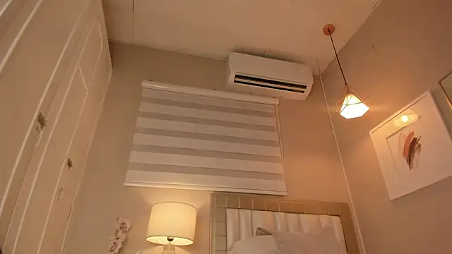 electra_a webcam