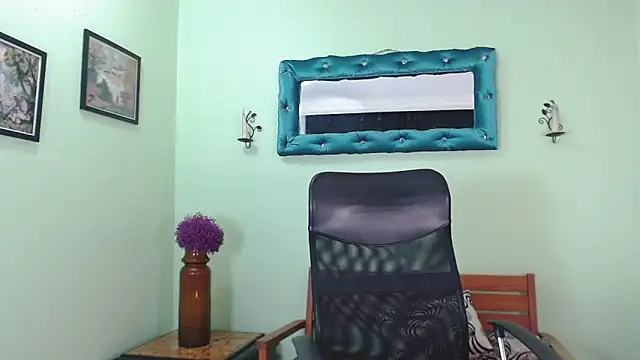 ChalonVera webcam