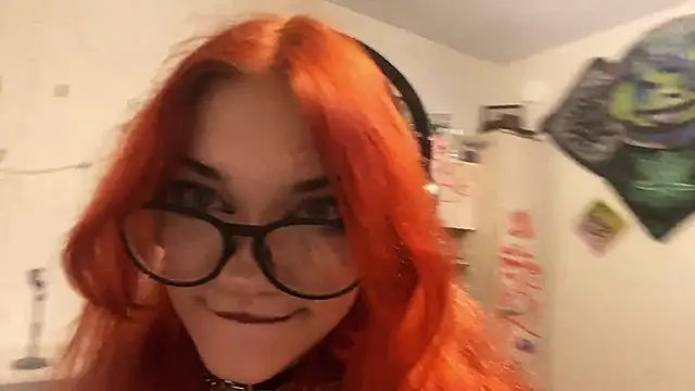 RedHeadCat webcam