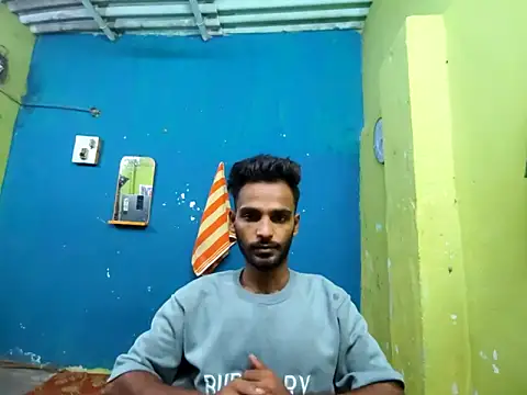 originaLUND's live cam