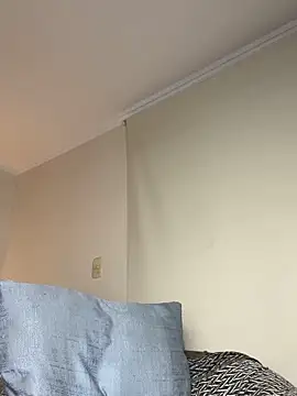 Samispank webcam