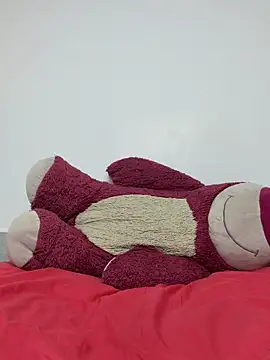 HotStar_yes webcam
