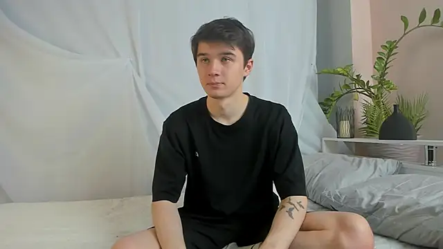 SherlockMax webcam