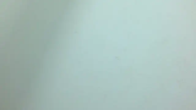 soofia_1609