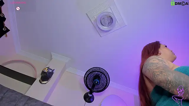 Danyhottits