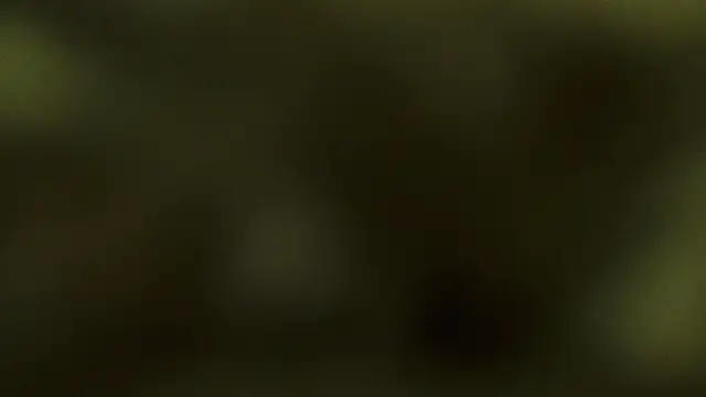 Luckyalice_4u