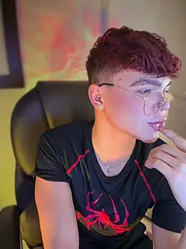 PRINCE_STEV webcam