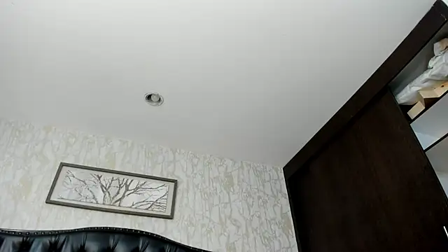 Lander_Cruz webcam