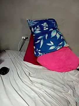 haileystone webcam