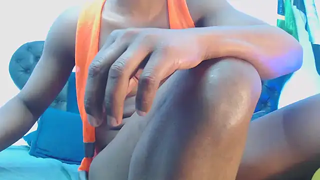 Preview of elcaballeronegro24