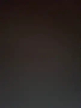 TheDime webcam