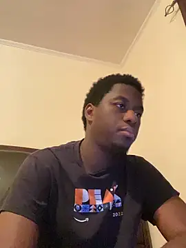 ThickDic28