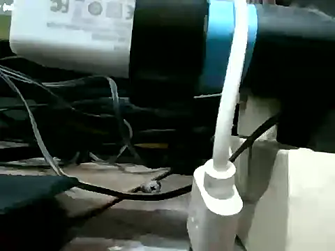 Regisbedem