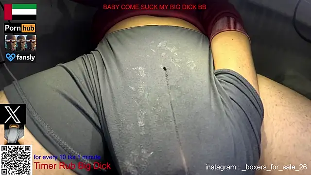 bfs26 webcam