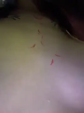 rinamay_ (F teen) - Squirt on your face (camera under pussy)