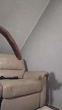 Gigolobigcock24cm