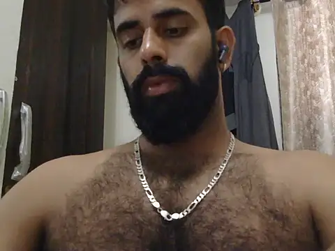 indianhairybull
