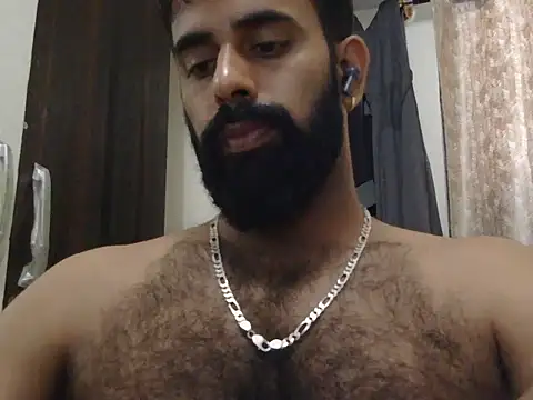 indianhairybull
