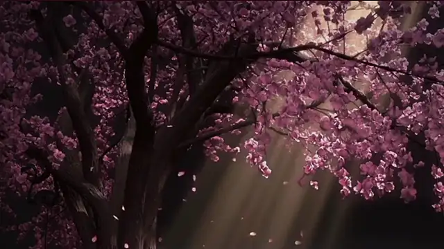 EdenArcadia