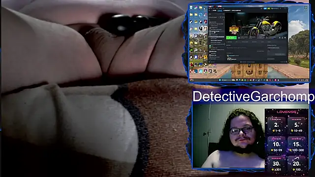 Preview of detchompy