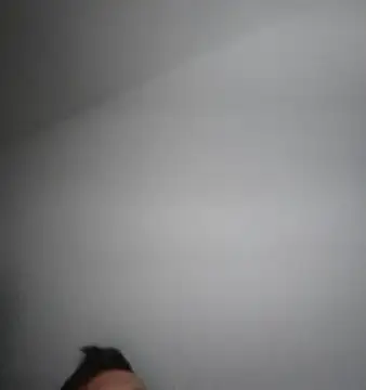 GermanBigDream