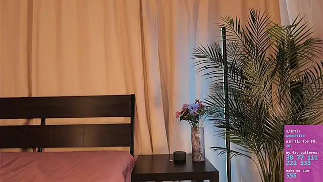 webpetite